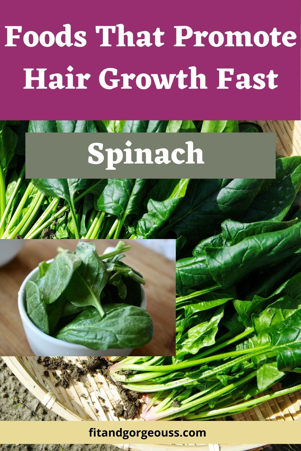 foods-that-promote-hair-growth-fast-6-magical-foods-fit-gorgeous