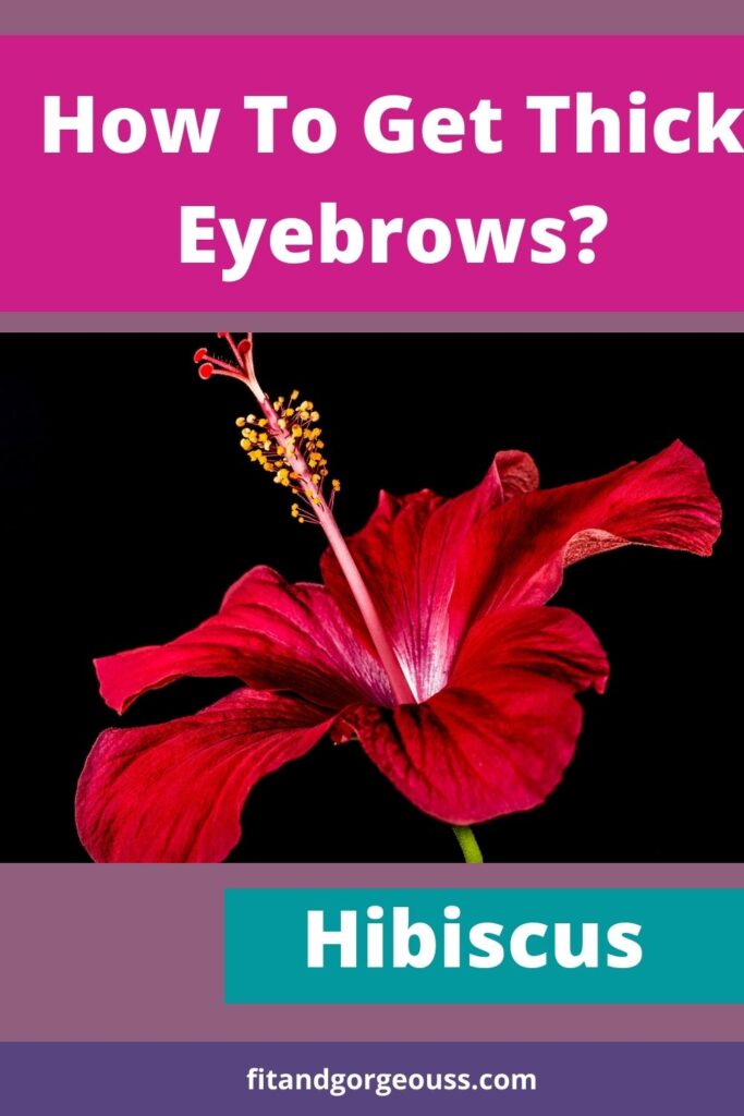 How To Get Thick Eyebrows?